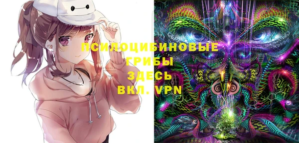 PSILOCYBIN Михайловск