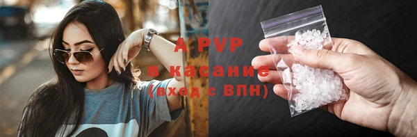 ПСИЛОЦИБИНОВЫЕ ГРИБЫ Михайловка
