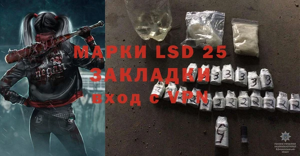 ПСИЛОЦИБИНОВЫЕ ГРИБЫ Михайловка