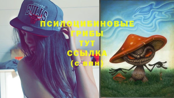 ПСИЛОЦИБИНОВЫЕ ГРИБЫ Михайловка
