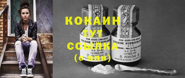 ПСИЛОЦИБИНОВЫЕ ГРИБЫ Михайловка