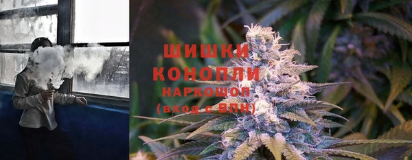 PSILOCYBIN Михайловск
