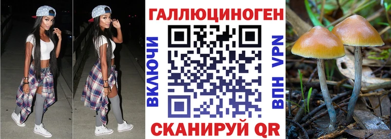 Галлюциногенные грибы ЛСД Севастополь