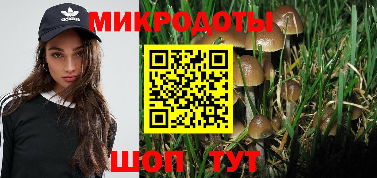 Псилоцибиновые грибы прущие грибы Севастополь