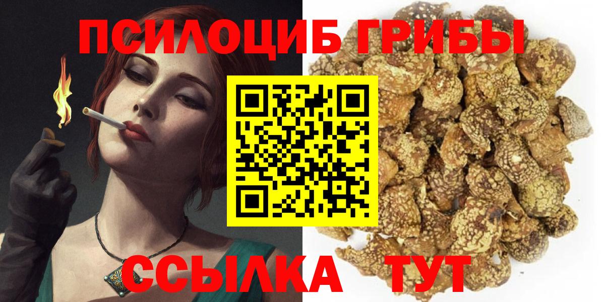 Галлюциногенные грибы прущие грибы  Севастополь 