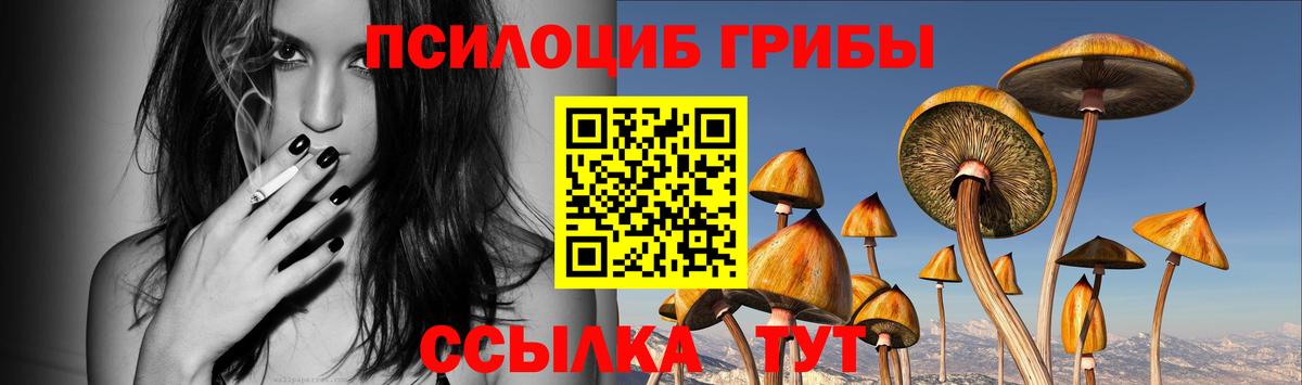Галлюциногенные грибы GOLDEN TEACHER  Вход с VPN  Севастополь 