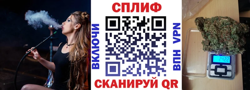 Конопля индика  дарнет шоп  Севастополь 